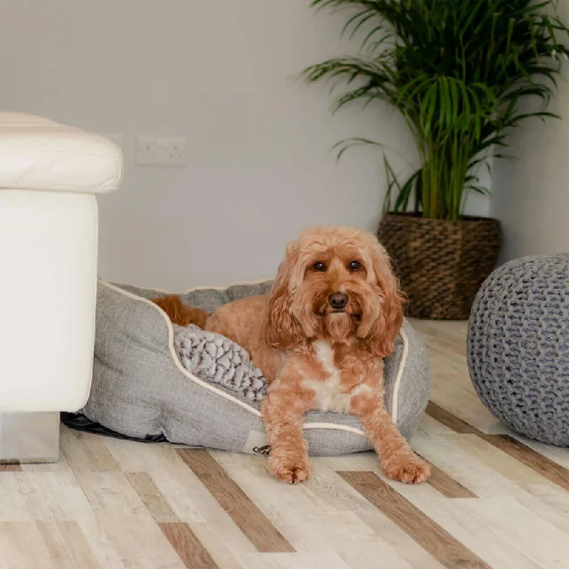 best UV sterilizer for aquariums Alfie - Grey Soft Dog Bed  - Size S/M/L