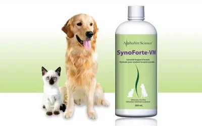 self-warming cat mat cozy AlphaVet science SynoForte-VM - Synovial Support Formula