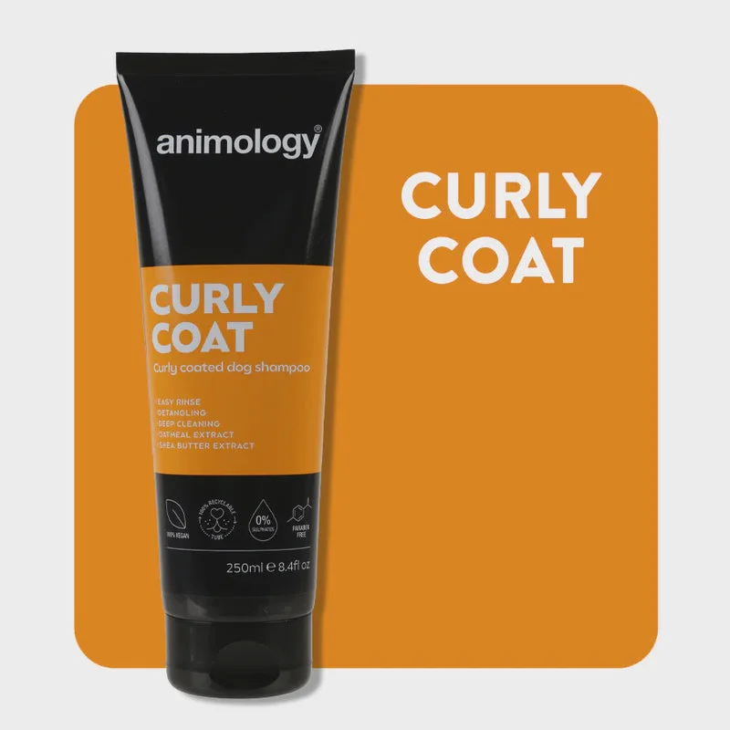 best aquarium filter for shrimp tanks ANIMOLOGY CURLY COAT