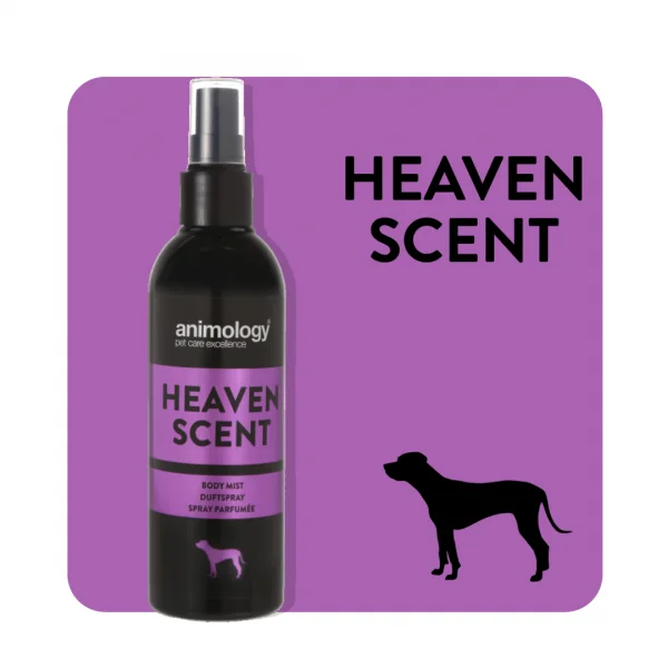 best flea treatment for ferrets ANIMOLOGY HEAVEN CNT
