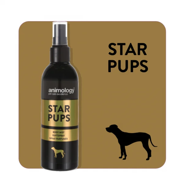 best organic dog flea spray ANIMOLOGY STAR PUPS