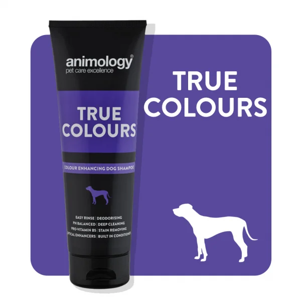 dog travel backpack with hydration system ANIMOLOGY TRUE COLOR