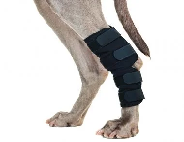 ceramic slow feeder bowl for dogs Back On Track Dog Hock Wrap