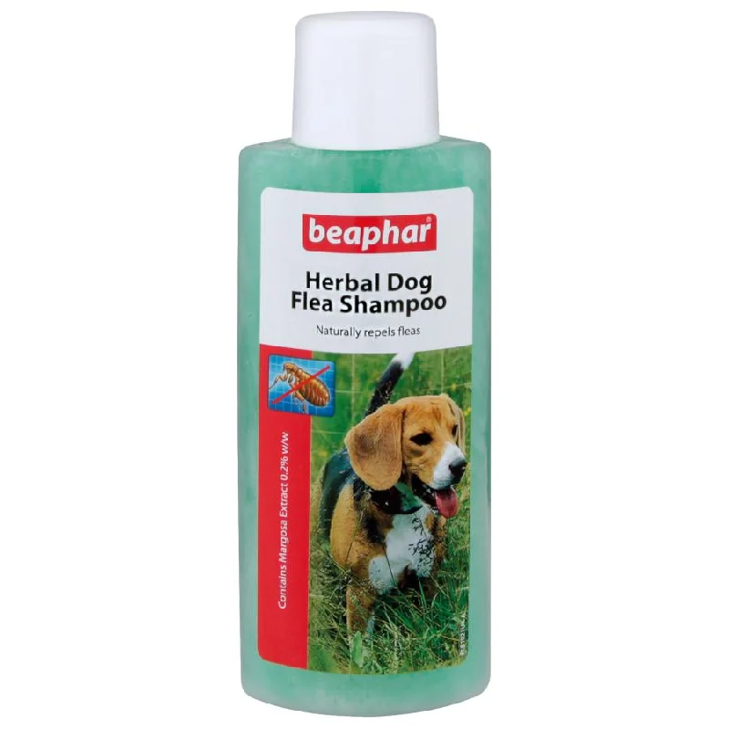 no-slip dog socks with grip Beaphar Dog Herbal Flea Shampoo 250ml
