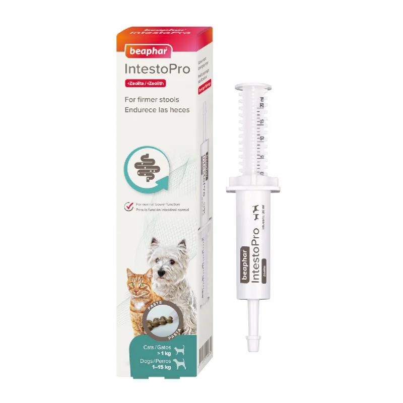 dog puzzle feeder for mental stimulation Beaphar IntestoPro Paste 20ml Digestion Relief for Cats & Small Dogs