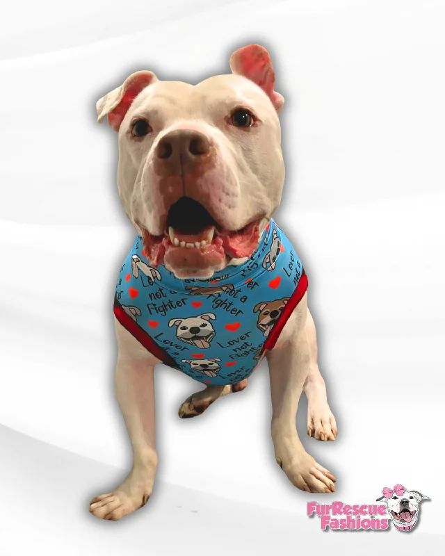 chew-resistant guinea pig hideout Lover Not A Fighter in Blue - Dog Pajama with Red Neck & Trim/Sleeves chew-resistant guinea pig hideout Lover Not A Fighter in Blue - Dog Pajama with Red Neck & Trim/Sleeves