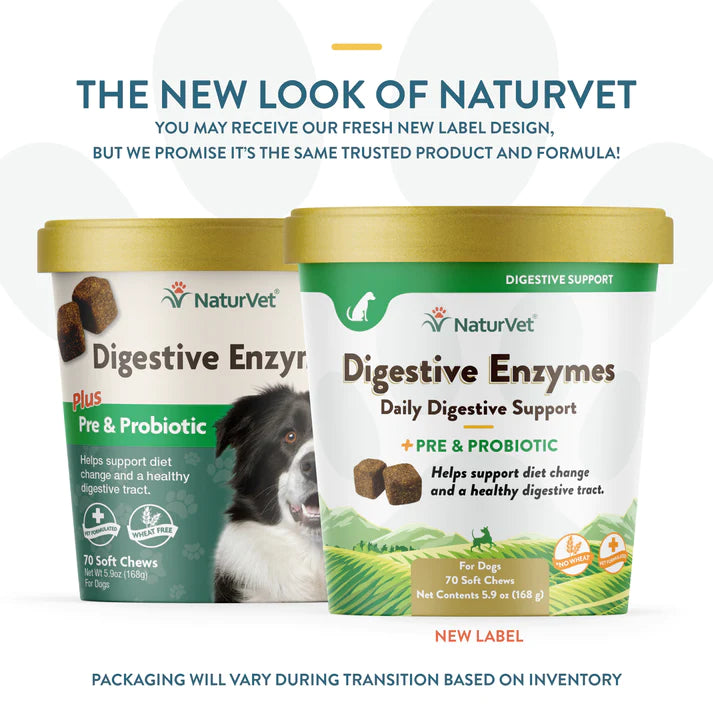 best automatic bird water feeder Naturvet Digestive Enzymes plus Pre & Probiotic for Dogs (soft chews) best automatic bird water feeder Naturvet Digestive Enzymes plus Pre & Probiotic for Dogs (soft chews)