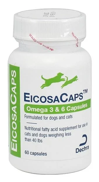 ferret hammock soft fleece EicosaCaps® omega