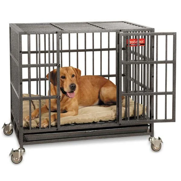 chew proof dog leash heavy-duty Empire Dog Crate Heavy Duty Dog Cage With Durable Bed
