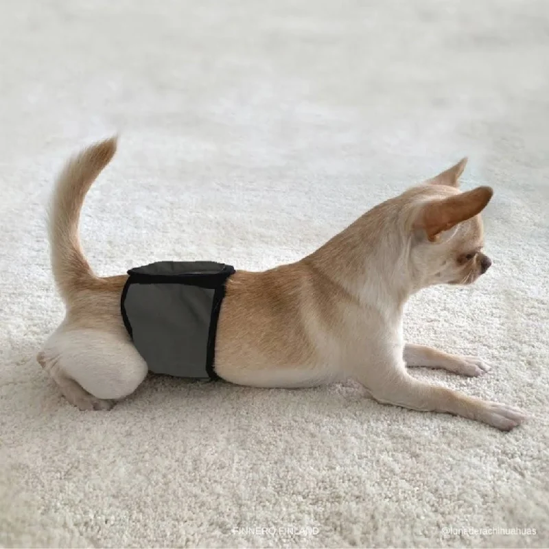 best bird travel cage lightweight Finnero JustInCase Male Dog Belly Band
