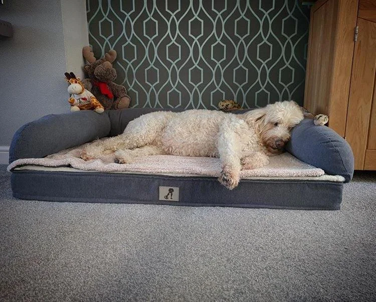 best dog travel crate airline approved Grayson Luxury Memory Foam Dog Bed XL 120 x 80cm
