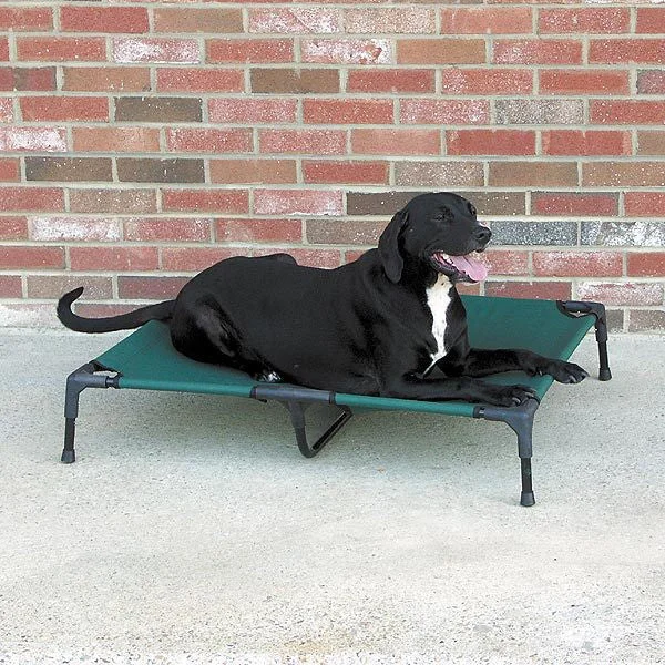 heated cat house outdoor Guardian Gear Green Pet Cot Small