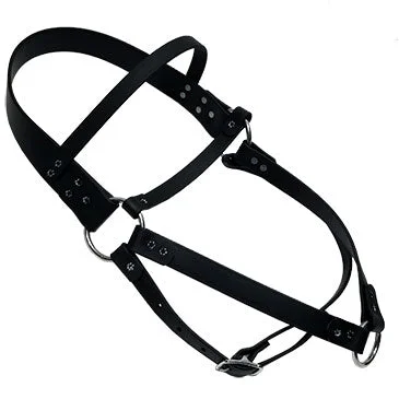 best pet odor remover enzyme LCS Leather Feel Roading Harness