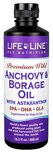 chew proof water bottle for small pets Life Line Premium Wild Anchovy & Borage Oil 16.5 oz