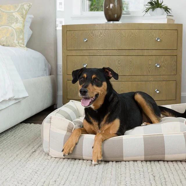 flea treatment for cats natural Lifestyle Pet Lounger - Patterns