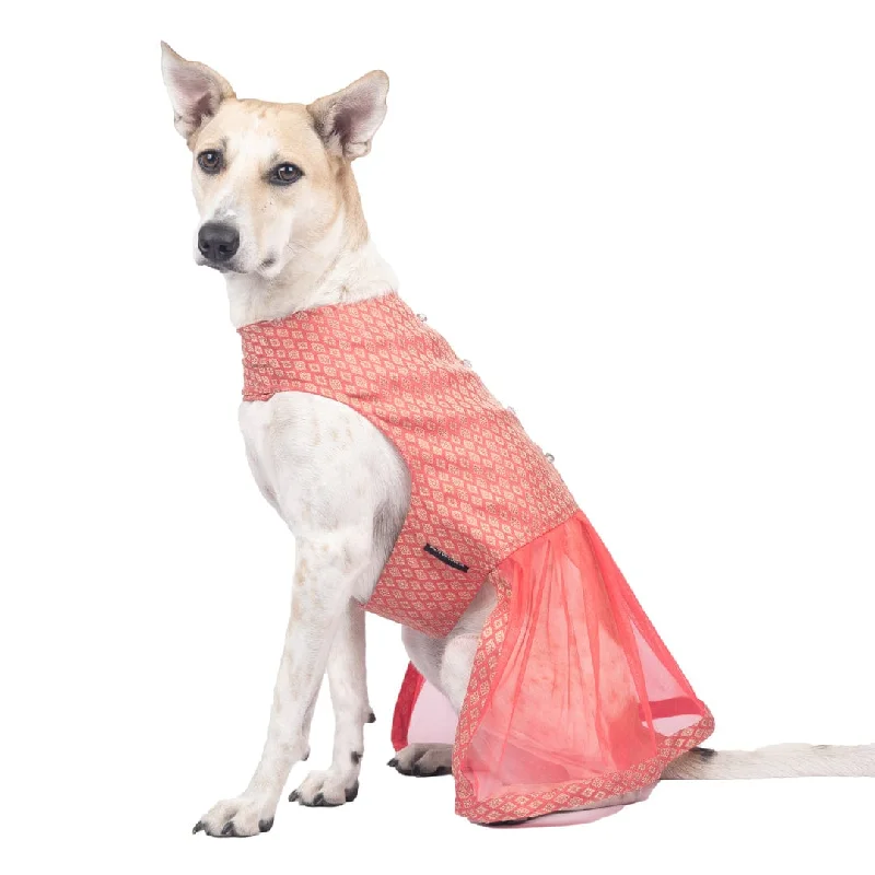 aquarium driftwood for natural decor Light Pink Brocade and Net Lehenga