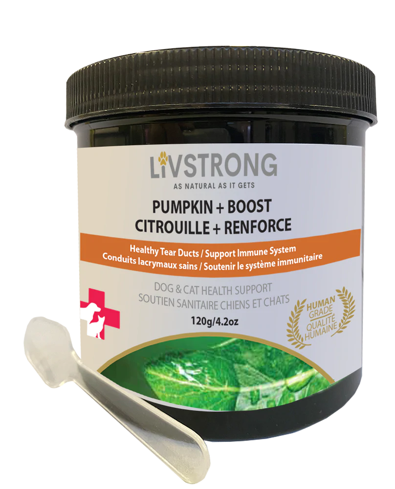 cat collar with bell adjustable Livstrong Pumpkin + Boost 120g