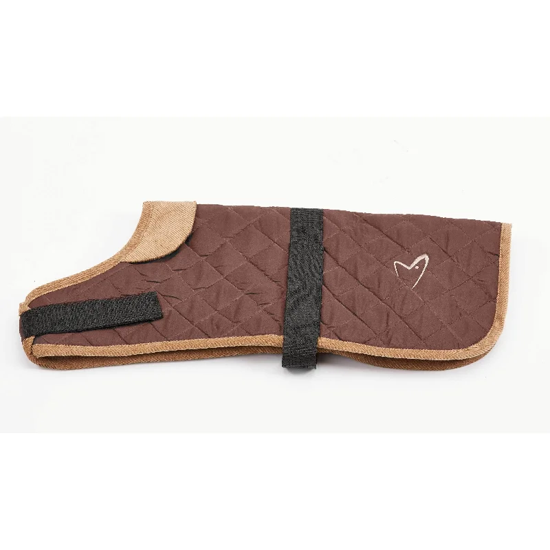 soft dog harness for small dogs Outdoor Worcester Coat