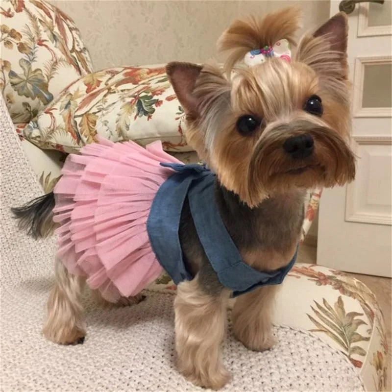dog dental chew sticks healthy Party Dresses For Dogs