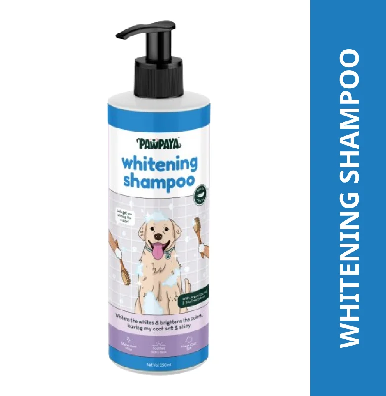 catnip-infused scratch pad Pawpaya Whitening Coat Shampoo for Dogs