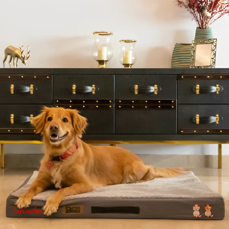 best bird feeder for cardinals Petter World Micro Fur Orthopedic Mattress Bed with Memory Foam Base for Dogs (Meteorite) best bird feeder for cardinals Petter World Micro Fur Orthopedic Mattress Bed with Memory Foam Base for Dogs (Meteorite)