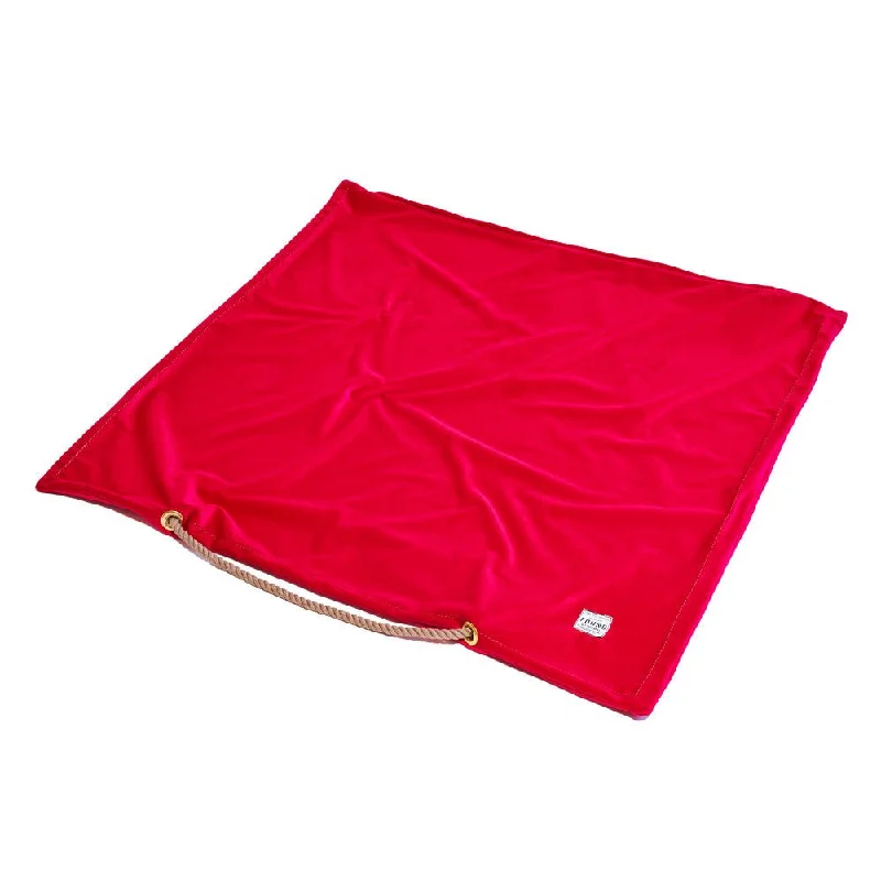 best parrot harness training Pink Washable Velvet Dog Bed