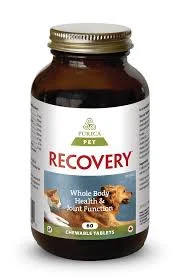 dog bicycle leash attachment Purica: Recovery SA - Chewable Tablets