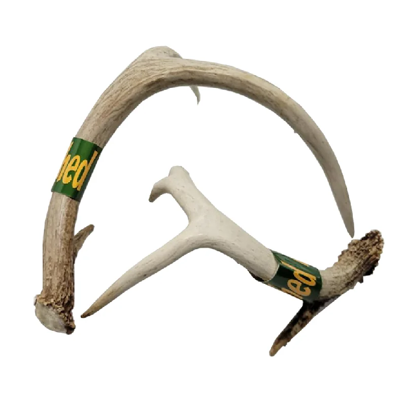 premium reptile misting system Shed Hunting Shed Antler