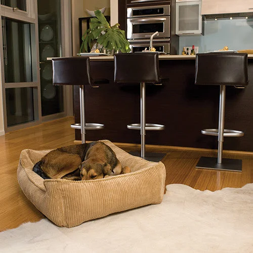 best odor-free cat litter for small apartments Lifestyle  Sleeper-Dog Bed Corduroy