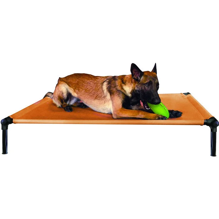 odor control cat litter multi-cat Starmark Dog Zone Pro Training Bed Gold Large