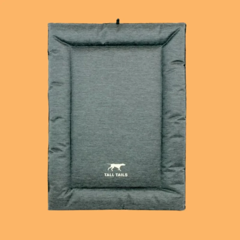 parrot foraging wheel interactive feeder Tall Tails Crate Mat Gray XL