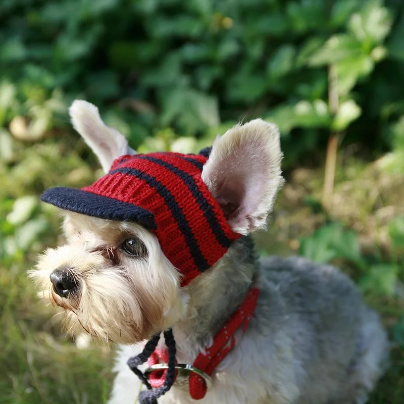 best dog ear wipes natural Warm Hats For Dogs