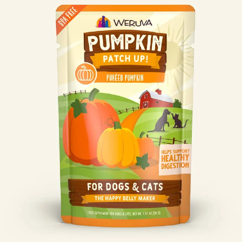 anti-scratch cat furniture protectors Weruva Pumpkin Patch Up!