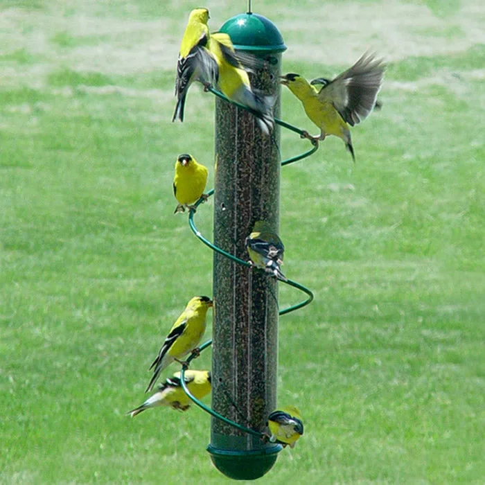 non-slip reptile climbing branch 17.5" Green Spiral Finch Tube Feeder