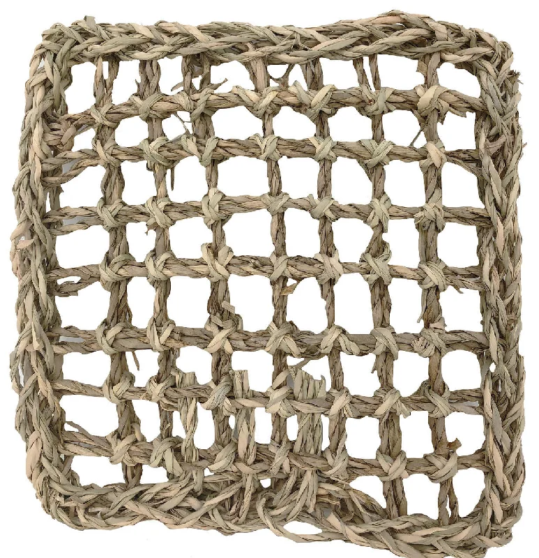 chew-resistant dog leash for strong pullers 1766 Seagrass Mat 7X7