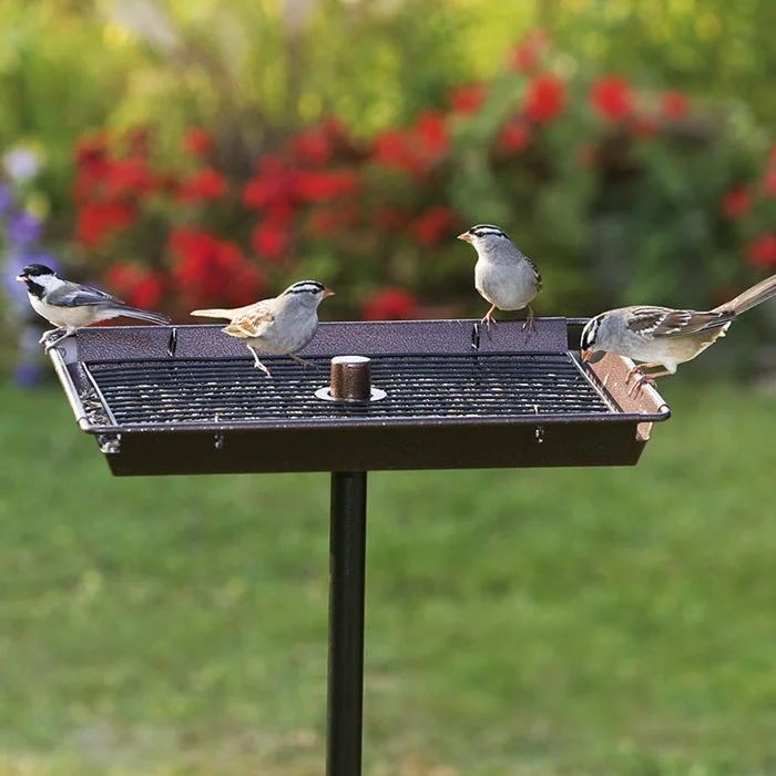 top-rated reptile thermometer 3 In 1 Platform Feeder