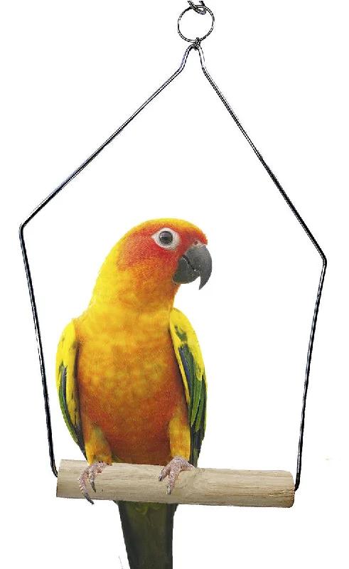 best UV sterilizer for aquariums 3289 Medium Wooden Perch Swing  ON SALE!