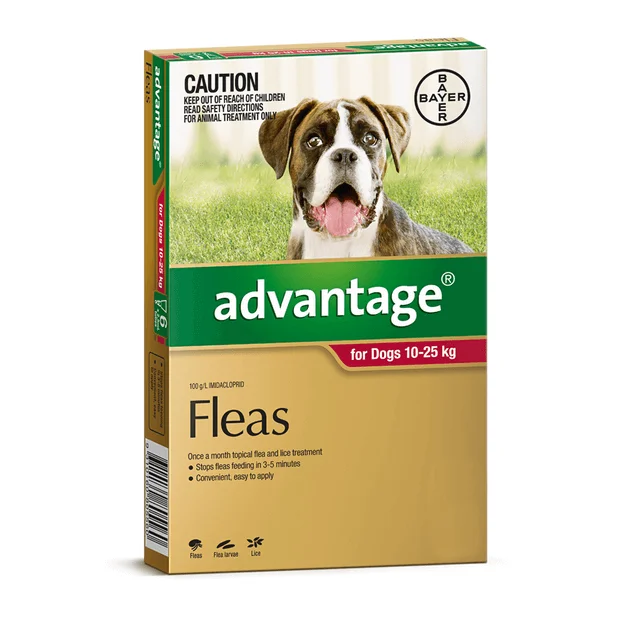 best natural flea shampoo for dogs Advantage Dog 10 - 25kg Red