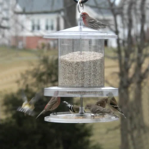 best bird feeder squirrel-proof All Weather Feeder