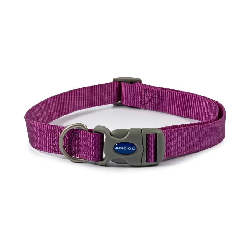 hamster hideout natural wood Ancol Dog & Puppy Collars Nylon Purple 3 Sizes