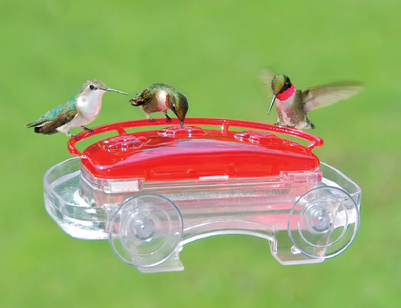best small animal playpen outdoor Aspects Jewel Box Hummingbird Feeder