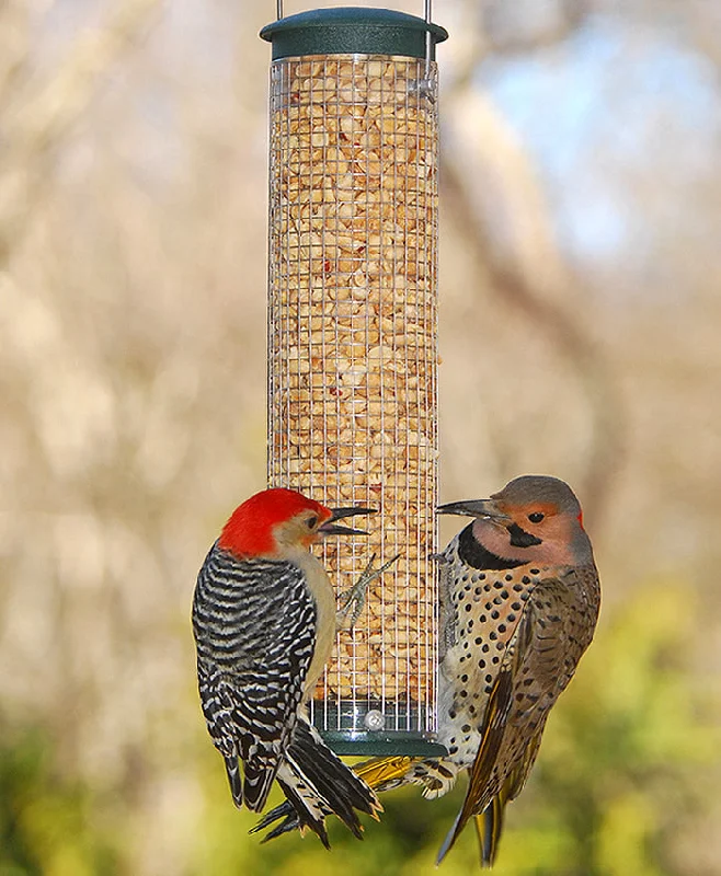 bird training clicker easy-use Aspects Quick Clean Peanut Mesh Feeder