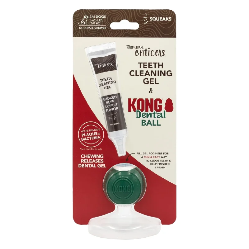 cat stroller for large cats Beef Enticers and Kong Dental Ball Kit