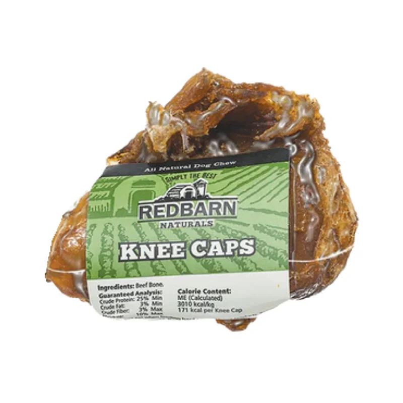 travel dog water bottle leak-proof RedBarn's Beef Knee Dog Chew
