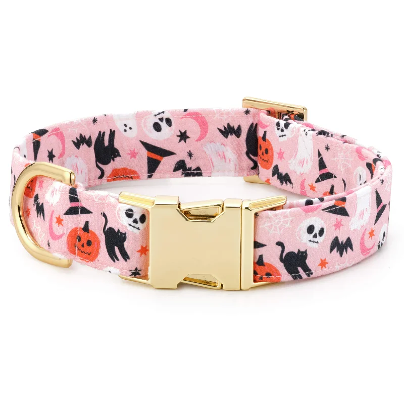 smart pet camera with treat dispenser Bewitched Dog Collar
