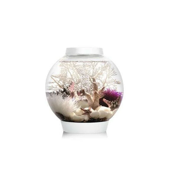 cat collar with bell adjustable Biorb Classic 15 LED - White