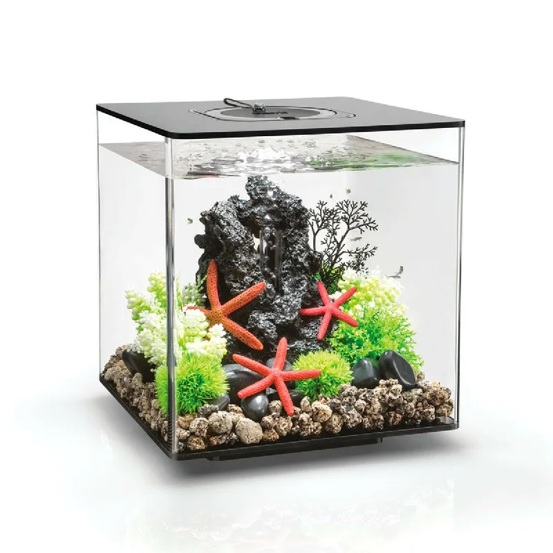 best turtle tank setup Biorb Cube 30 Black - MCR