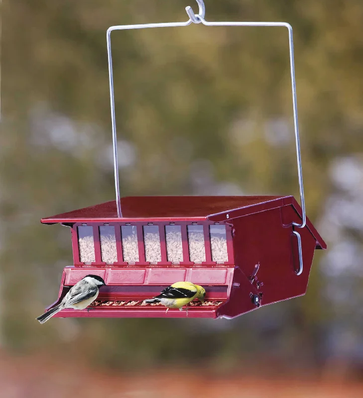 guinea pig exercise pen indoor Birder's Choice Feeder