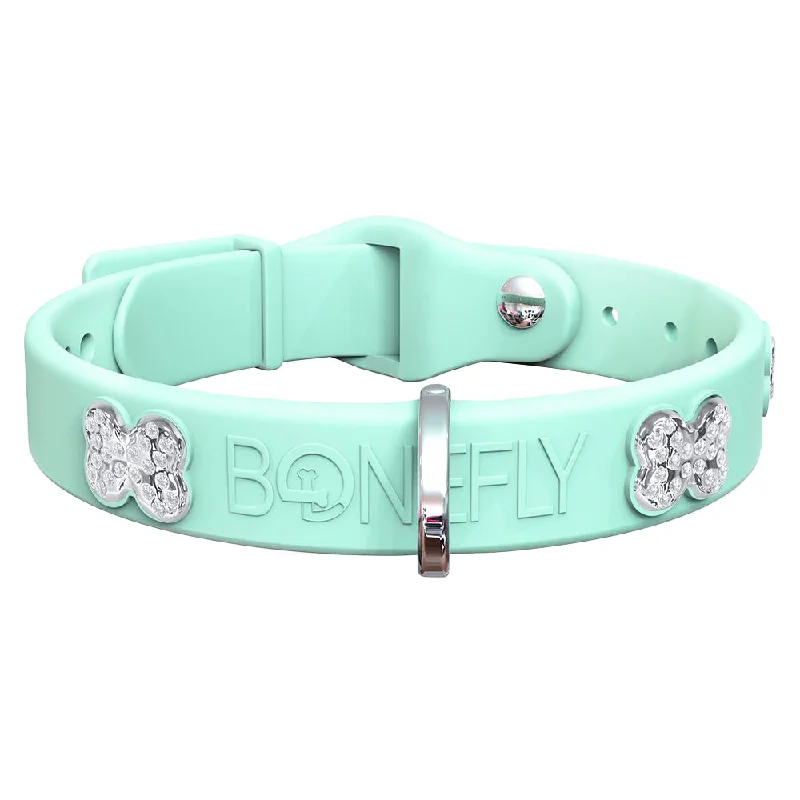 Mint & Silver
