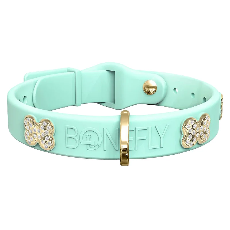Mint & Gold